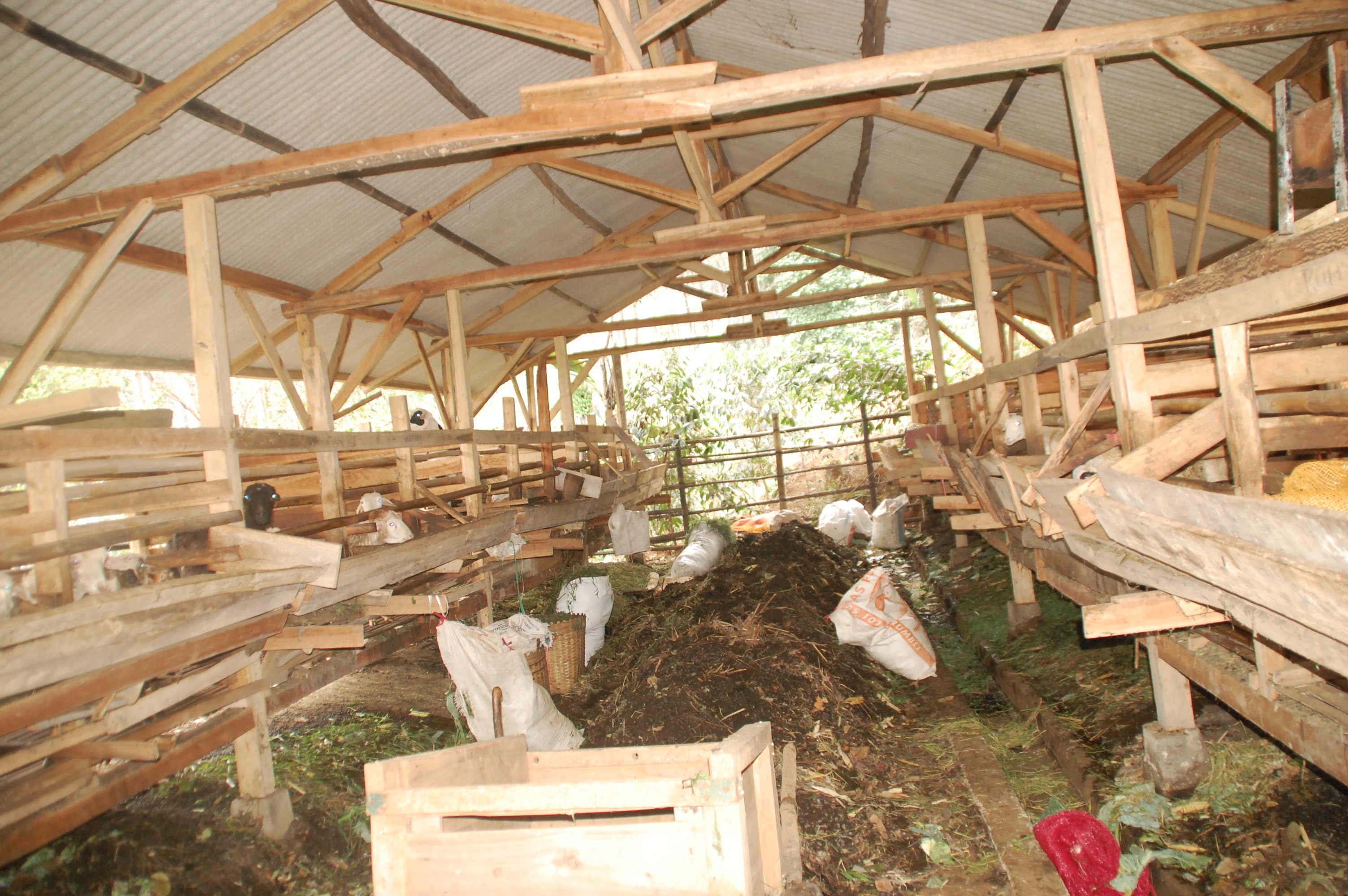 PUPUK DAN PESTISIDA MAHAL, SAATNYA MASUK KE ORGANIK