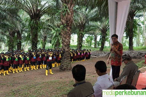 Ditjen Perkebunan Konsisten Tingkatkan SDM Perkebunan Kelapa Sawit