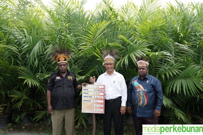 Hilirisasi Sawit di Papua Barat Dibutuhkan Lahan 200 Ribu Ha