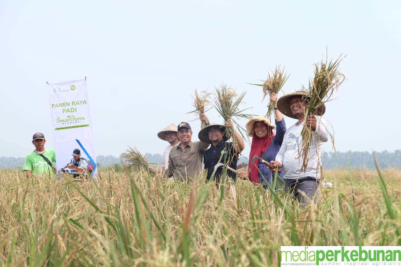 Panen Raya Berhasil Dilaksanakan Berkat Sinergi yang Kuat