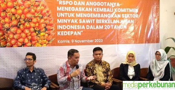 RSPO Konsisten Kembangkan Industri Kelapa Sawit Berkelanjutan