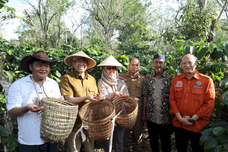 OJK Sumsel dan Stakeholder Ingin Bangkitkan Kembali Kejayaan Kopi Pagar Alam