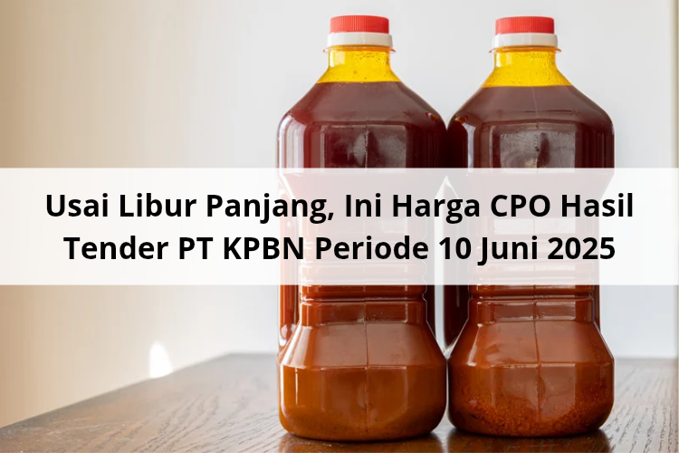 Usai Libur Panjang, Ini Harga CPO Hasil Tender PT KPBN Periode 10 Juni 2025