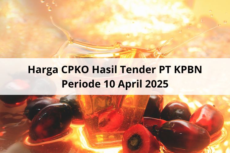 Meski WD, Semakin Konstruktif Harga CPKO Hasil Tender PT KPBN Periode 10 April 2025
