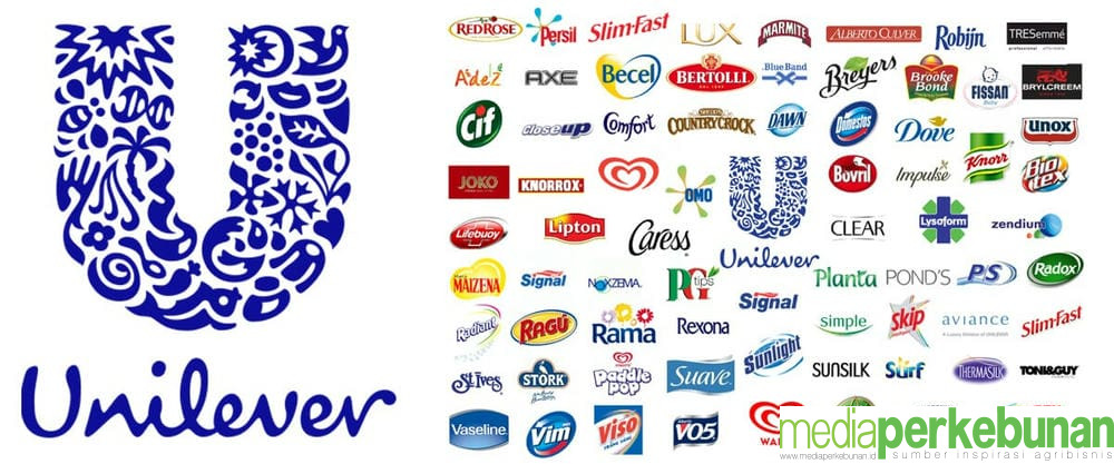 Unilever Komitmen Membangun Supply Chain Minyak Sawit yang Berkelanjutan
