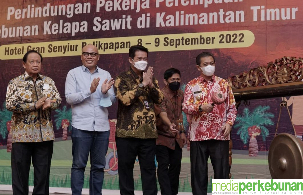 Komite Perempuan Sawit