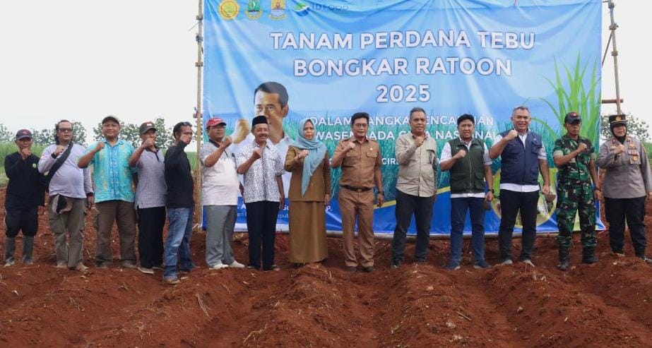 Bongkar Ratoon di Cirebon, Kementan Gaspol Swasembada Gula Nasional!