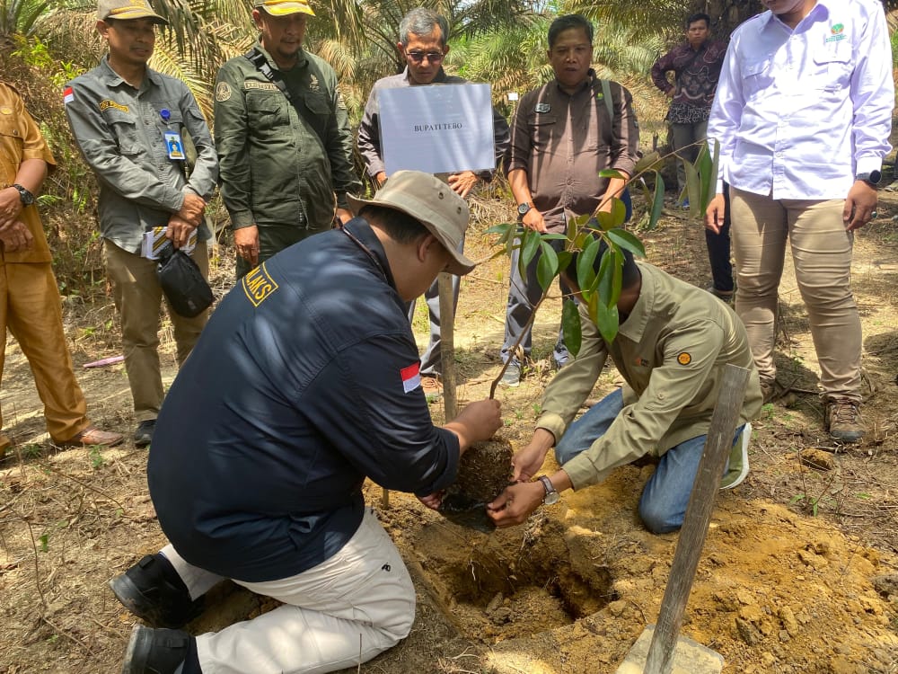 Atasi Sawit dalam Kawasan Hutan, Pemkab Tebo Mulai Jalankan SJB