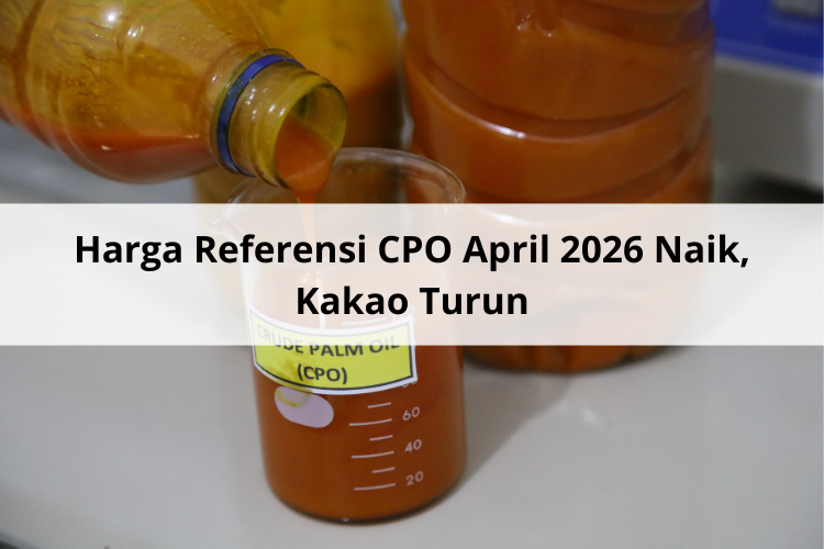 Harga Referensi CPO April 2026 Naik, Kakao Turun