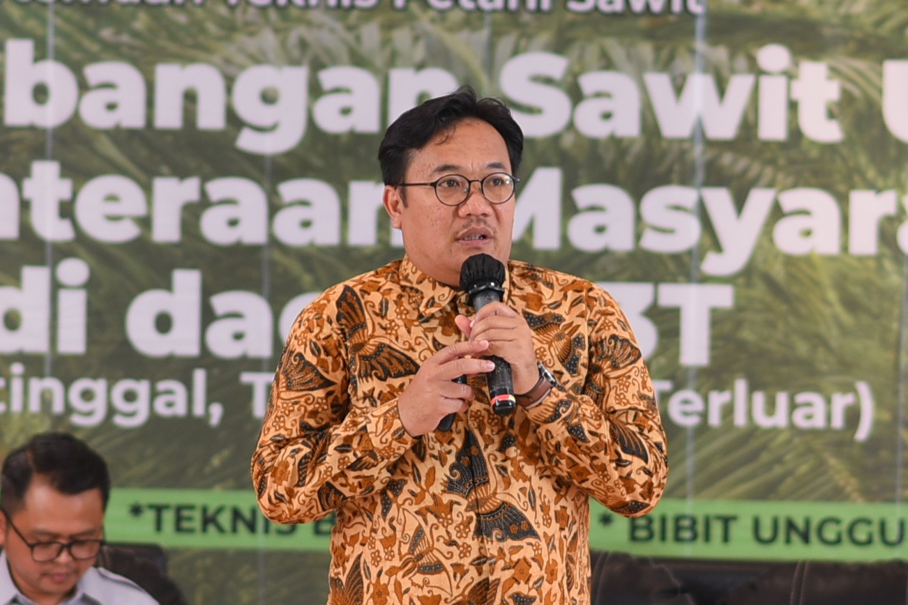 PPKS Dorong Petani Kapuas Hulu Terapkan Budidaya Sawit yang Tepat dan Berkelanjutan