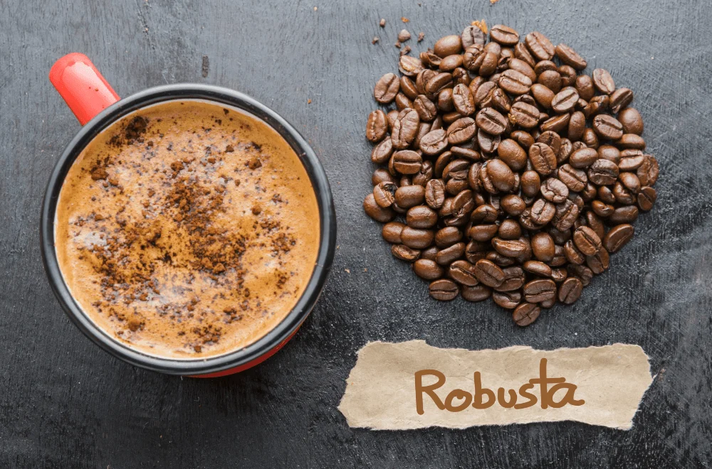 Inilah 5 Daerah Penghasil Kopi Robusta Terbaik di Indonesia