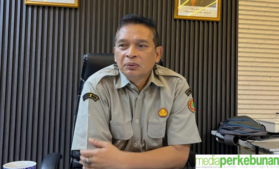 Strategi Hilirisasi Perkebunan: Meningkatkan Investasi dan Nilai Tambah Komoditas