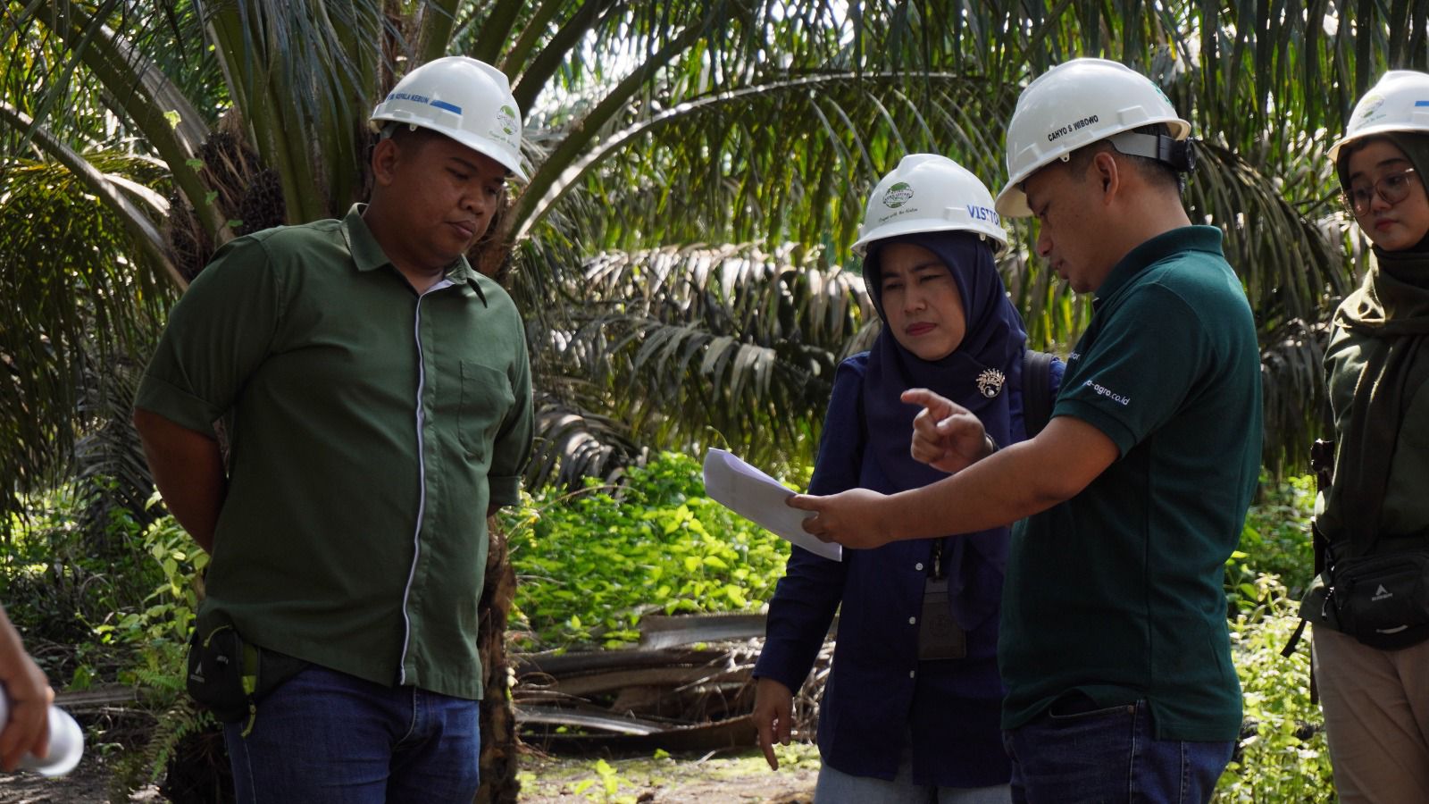 Astra Agro Rilis Varietas Unggul Baru yang Tahan Ganoderma