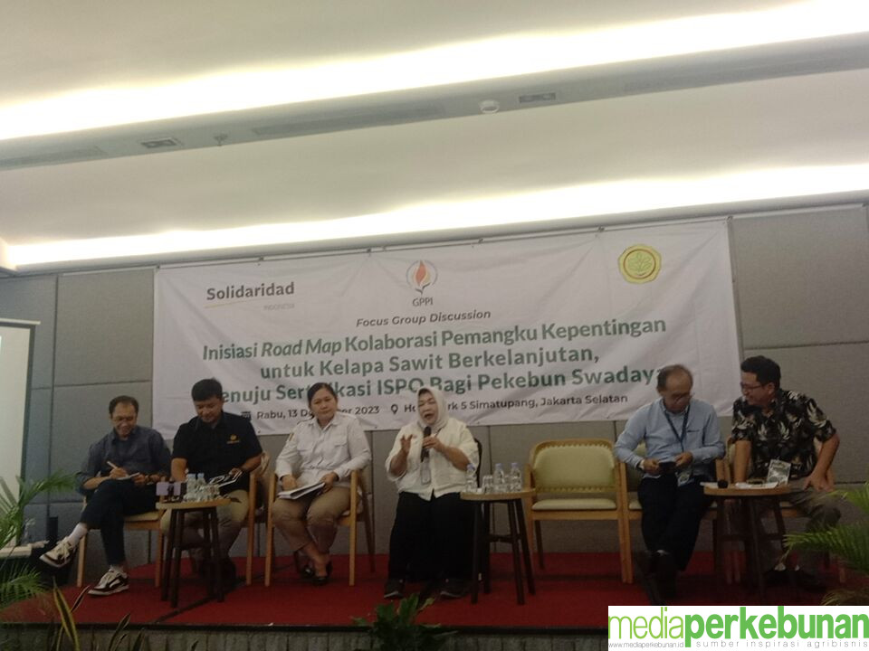 Perlu Road Map untuk Percepatan Sertifikasi ISPO bagi Pekebun