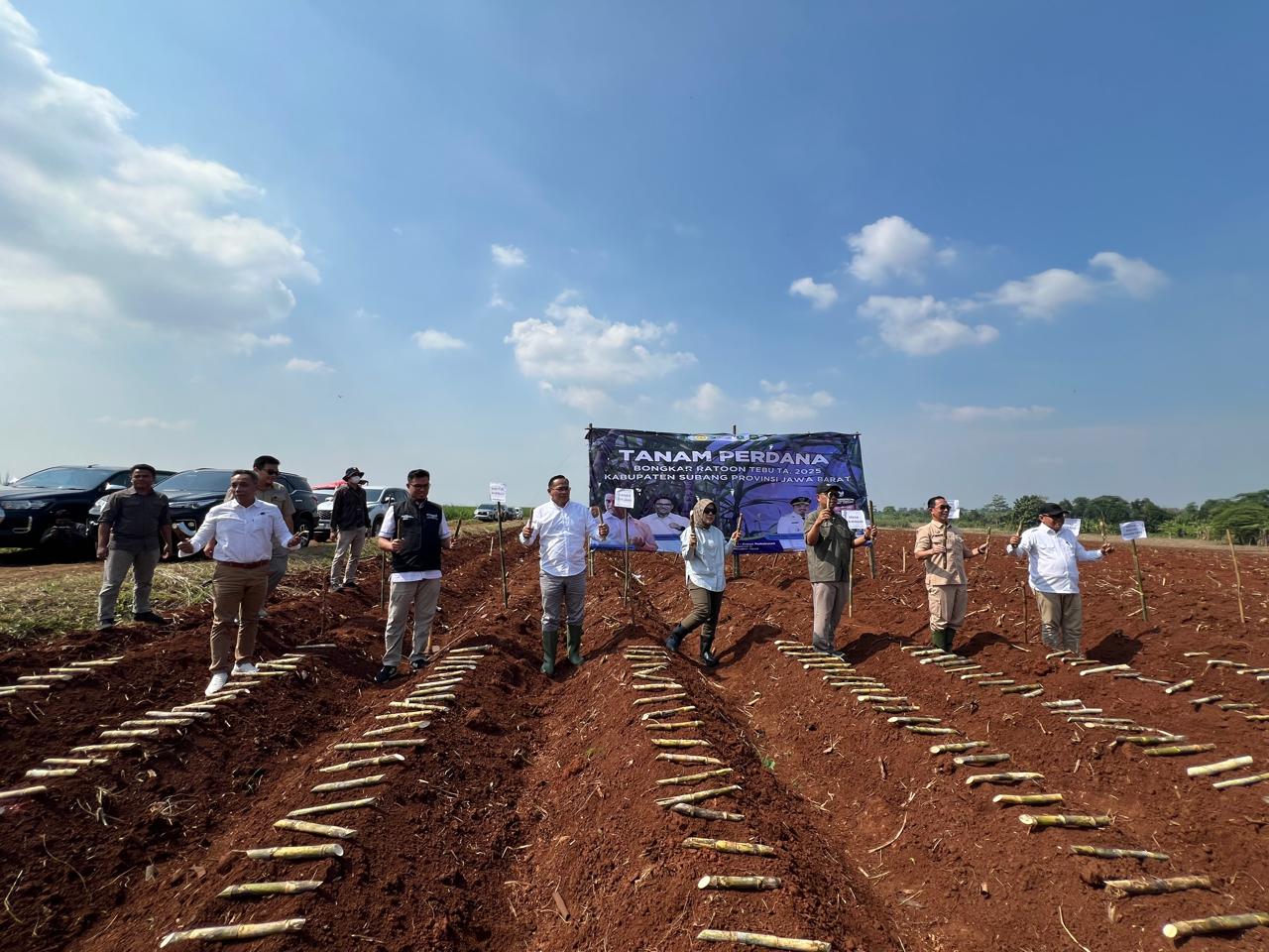 Bantuan Bongkar Ratoon Kementan Sangat Membantu Petani