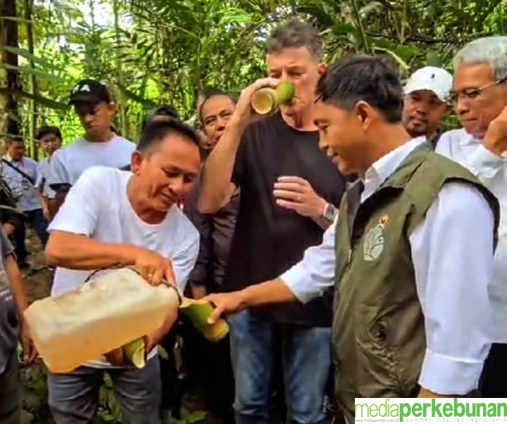 Aren Indonesia Naik Kelas, Bakal Jadi Sumber Bioetanol
