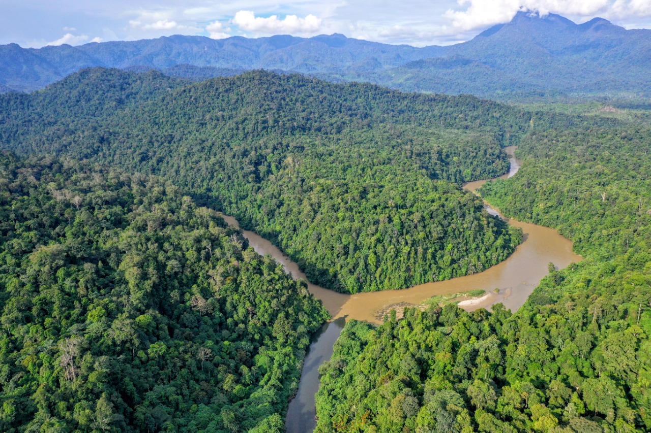 Lindungi Ekosistem Leuser, WILMAR Edukasi Pemasok