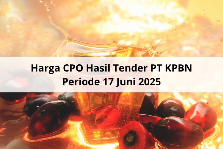 Harga CPO Hasil Tender PT KPBN Periode 17 Juni 2025: Cuma Beda Pembeli Saja!
