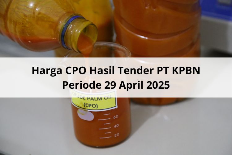 Nilai Rp 6 Berperan dalam Penentuan Harga CPO Hasil Tender PT KPBN Periode 29 April 2025