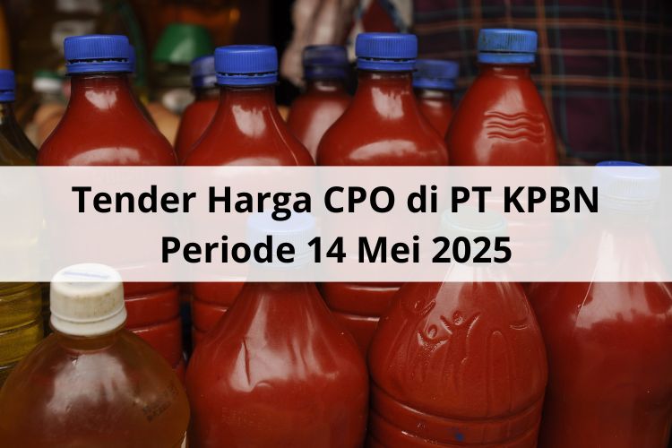 Tender Harga CPO di PT KPBN Periode 14 Mei 2025: Mayoritas Pelabuhan WD, Kecuali Dumai Meroket