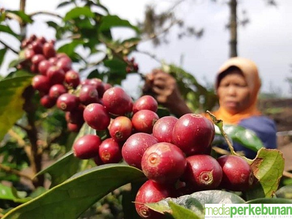 PAI Komit Jalankan 3 PRO