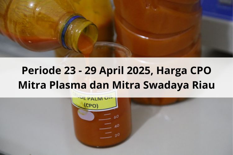 Pada Periode 23 – 29 April 2025, PK Jadi Penopang Saat Melorot Harga CPO Mitra Plasma dan Mitra Swadaya Riau