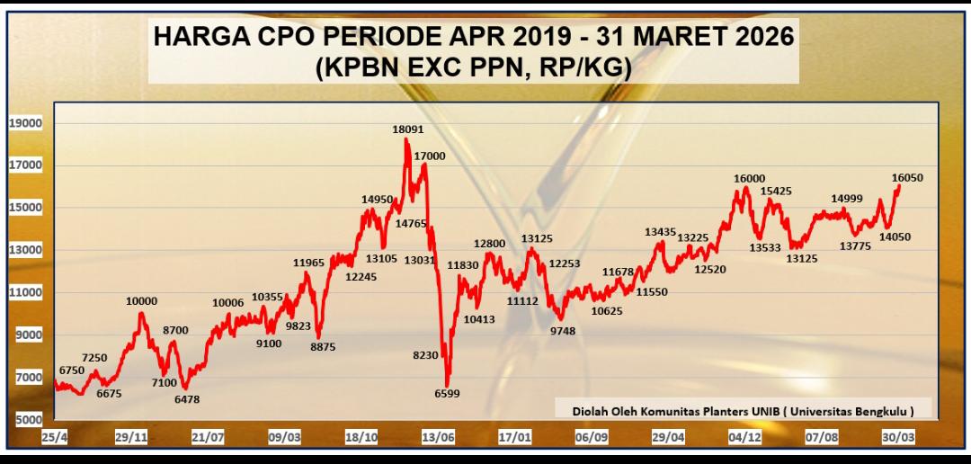Harga CPO TInggi