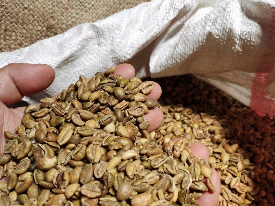 Kopi Liberika Sendoyan: Cita Rasa Eksotis dari Lahan Gambut di Kalimantan Barat