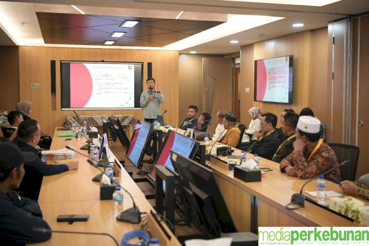 Program PSR Perdana di 2025, BPDP Bakal Salurkan Dana Lebih Setengah Triliun Rupiah