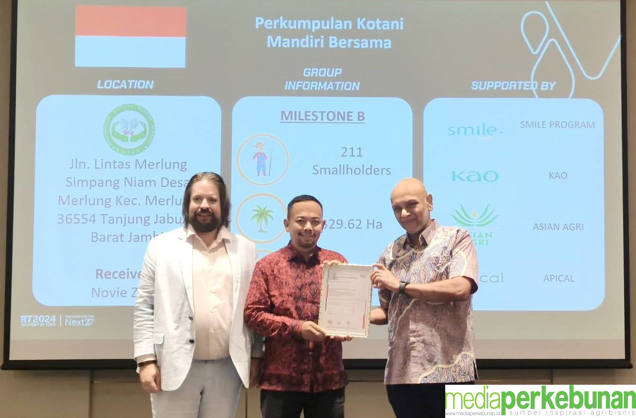 Petani Swadaya Indonesia Raih Sertifikasi RSPO di Thailand