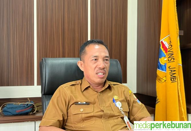 ATASI PENGANGGURAN, DISBUN JAMBI SIAPKAN KELOMPOK PEKERJA SAWIT UNTUK PETANI DAN PERUSAHAAN