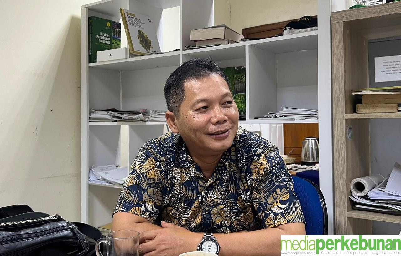 P3PI: Ancaman Terhadap Kemitraan Akan Pengaruhi Posisi Sawit Indonesia di Masa Depan