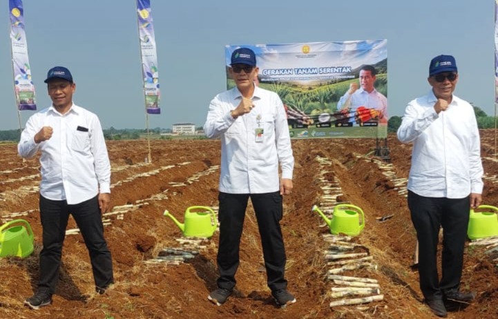 Akselerasi Swasembada Pangan, Kementan Gelar Tanam Serentak Komoditas Perkebunan di 12 Provinsi