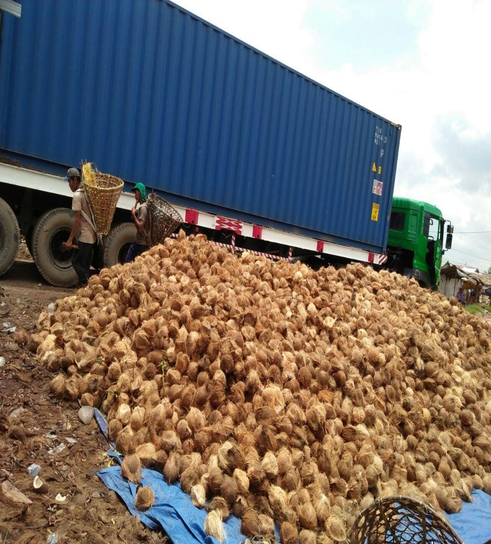TIONGKOK SETIAP TAHUN MENGKONSUMSI 300-350 JUTA TON KELAPA