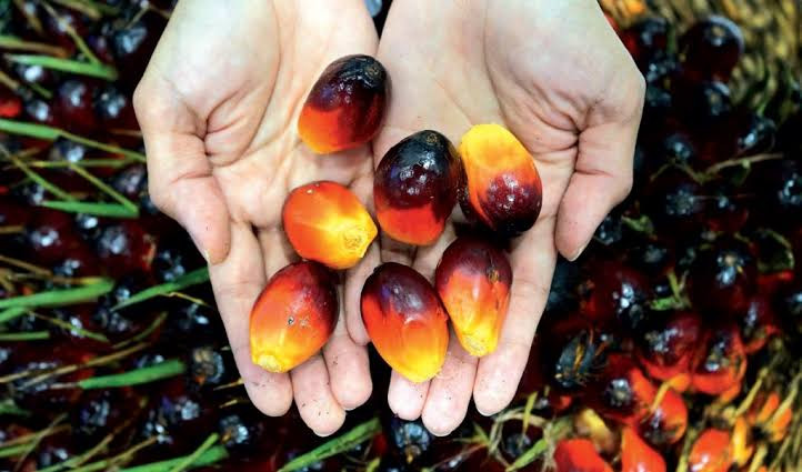 GAPKI: Produksi dan Ekspor Meningkat, Stok Menurun