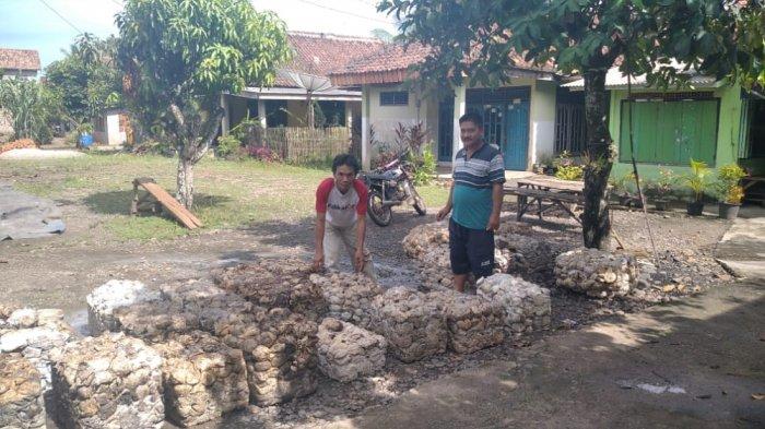Harga Karet Sumsel Berfluktuatif Turun