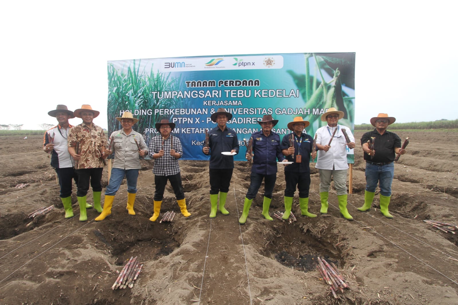 PTPN X Gandeng UGM Yogyakarta Demplot Tumpang Sari  Tebu Kedelai (BULE)