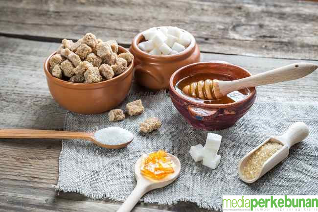 Rekomendasi Pengganti Gula agar Lebih Sehat
