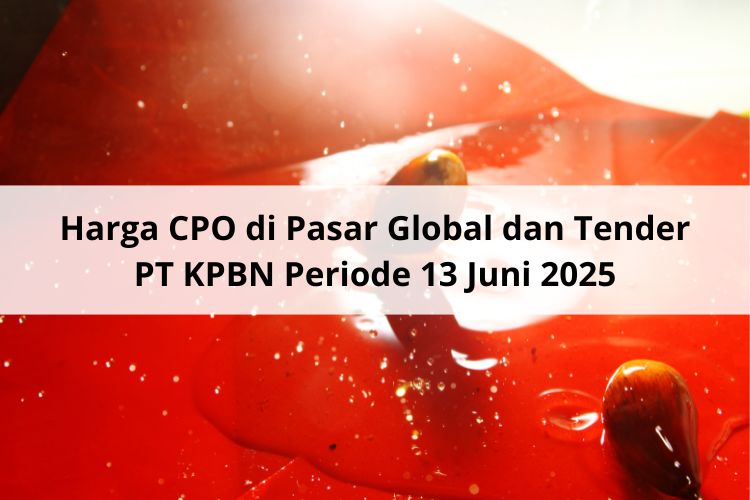 Israel – Iran Berkelahi, Melejit Harga CPO di Pasar Global dan Tender PT KPBN Periode 13 Juni 2025