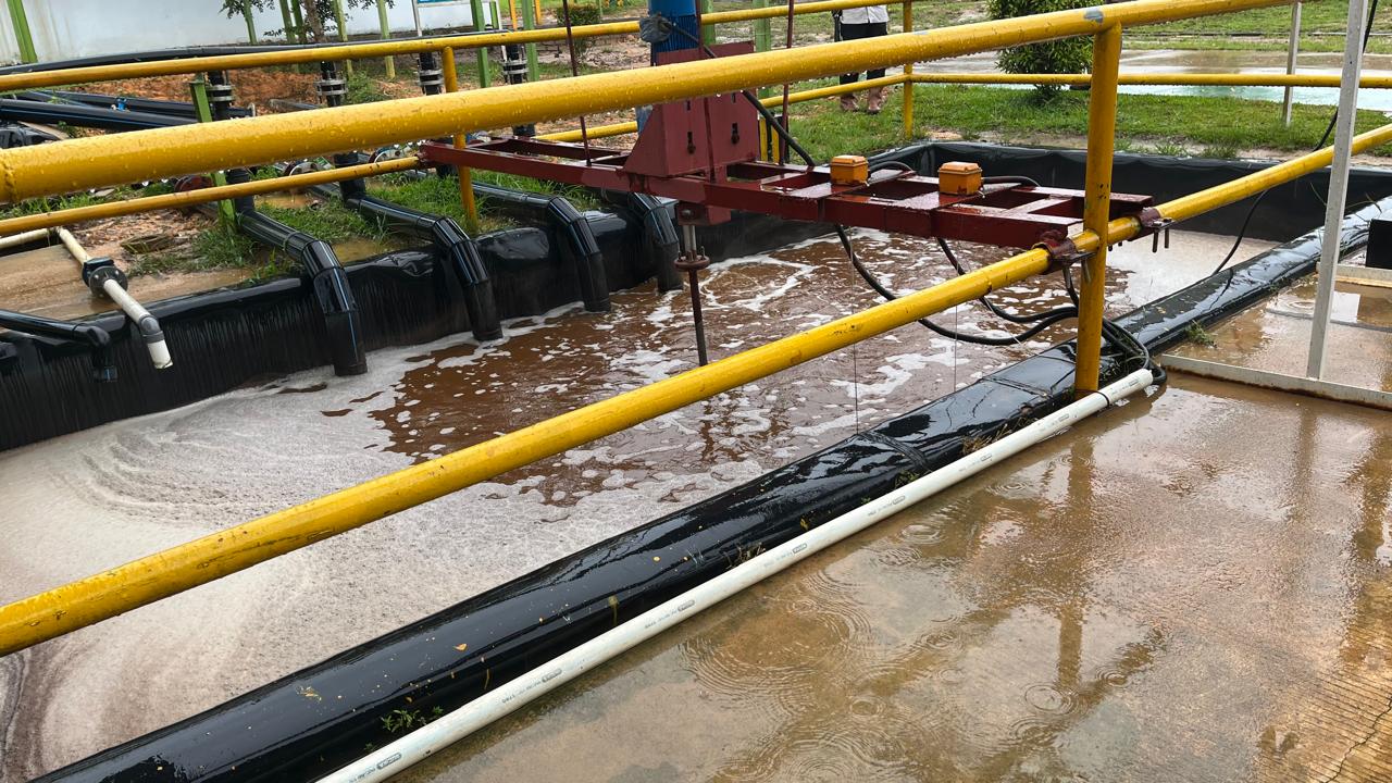 Mengubah Polusi Menjadi Energi : Menengok Potensi Limbah Cair Pabrik Kelapa Sawit Sebagai Sumber Listrik Alternatif