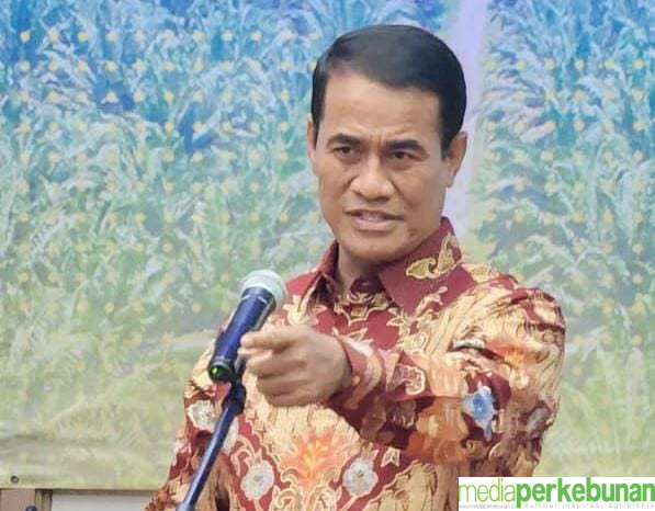 Mentan Amran Sebut Pentingnya Hilirisasi Sawit di Indonesia