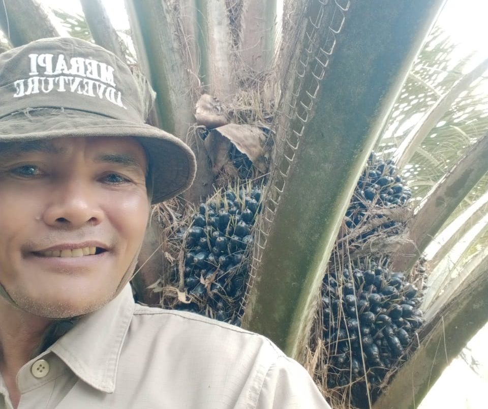 Keresahan Petani Soal PSR, IPOSC 2025 Siap Jadi Ruang Diskusi Petani Sawit Di Kalimantan Barat
