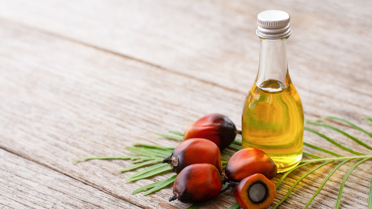 POPSI Dorong Percepatan Pembaruan Regulasi Produk Turunan Sawit