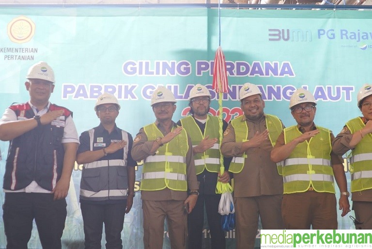 Sinergitas Kemitraan Pekebun dengan Pabrik Gula, Demi Akselerasi Swasembada Gula Nasional
