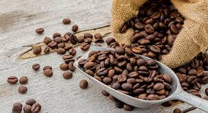 USDA : PRODUKSI KOPI INDONESIA 2024/2025 DIPERKIRAKAN NAIK