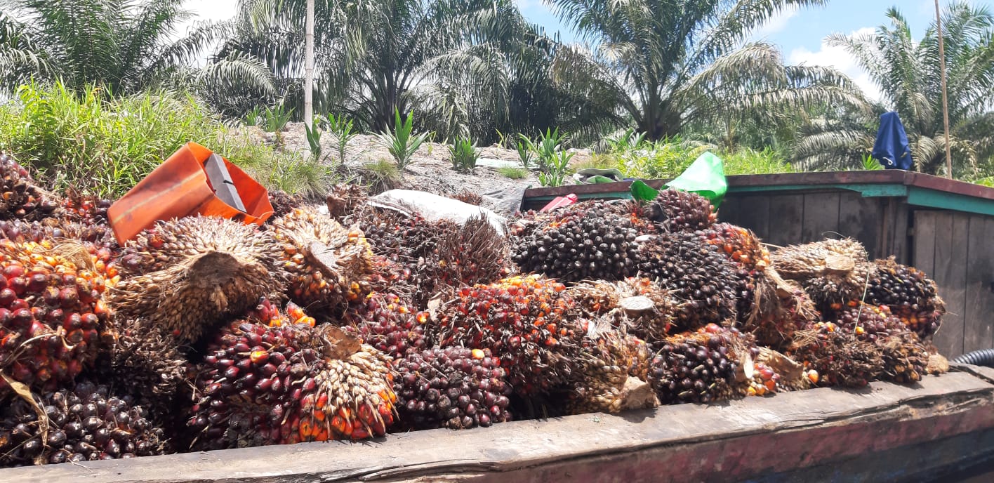 GAPKI :  Januari 2023,Produksi Stagnan, Stok Turun