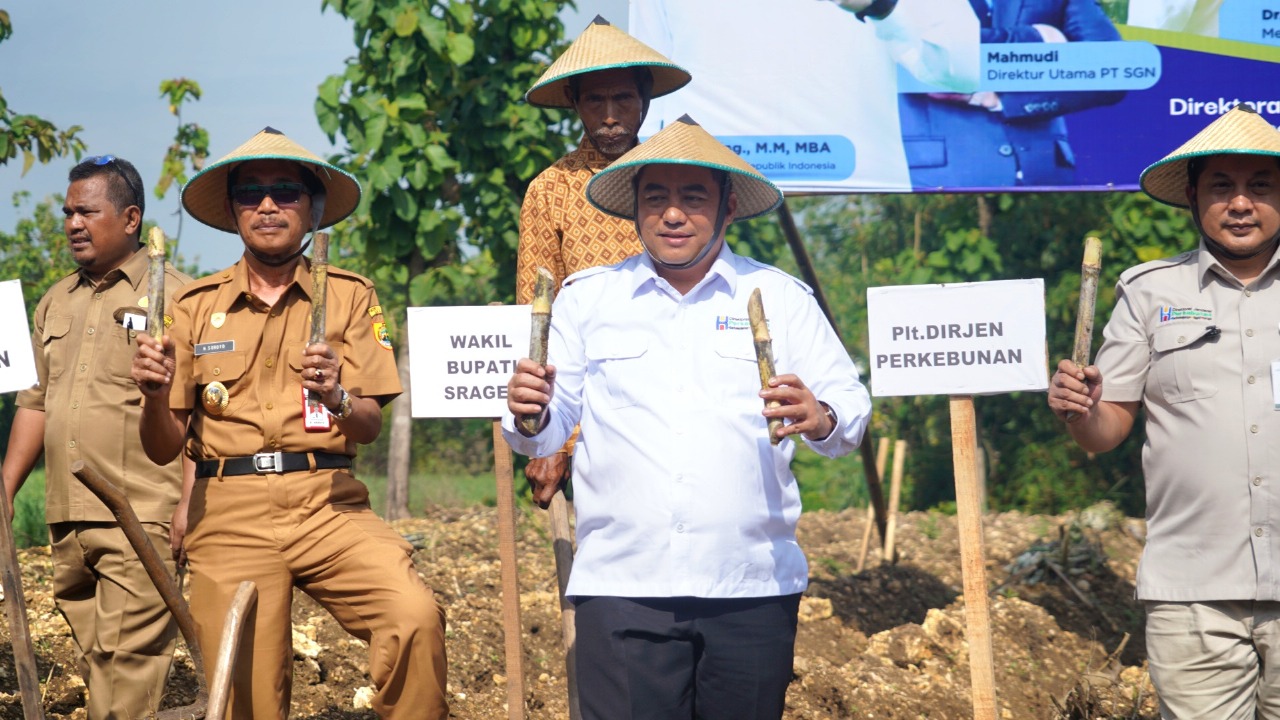 Dorong Swasembada Gula, Kementan Perkuat Hilirisasi dan Produktivitas Tebu di Sragen