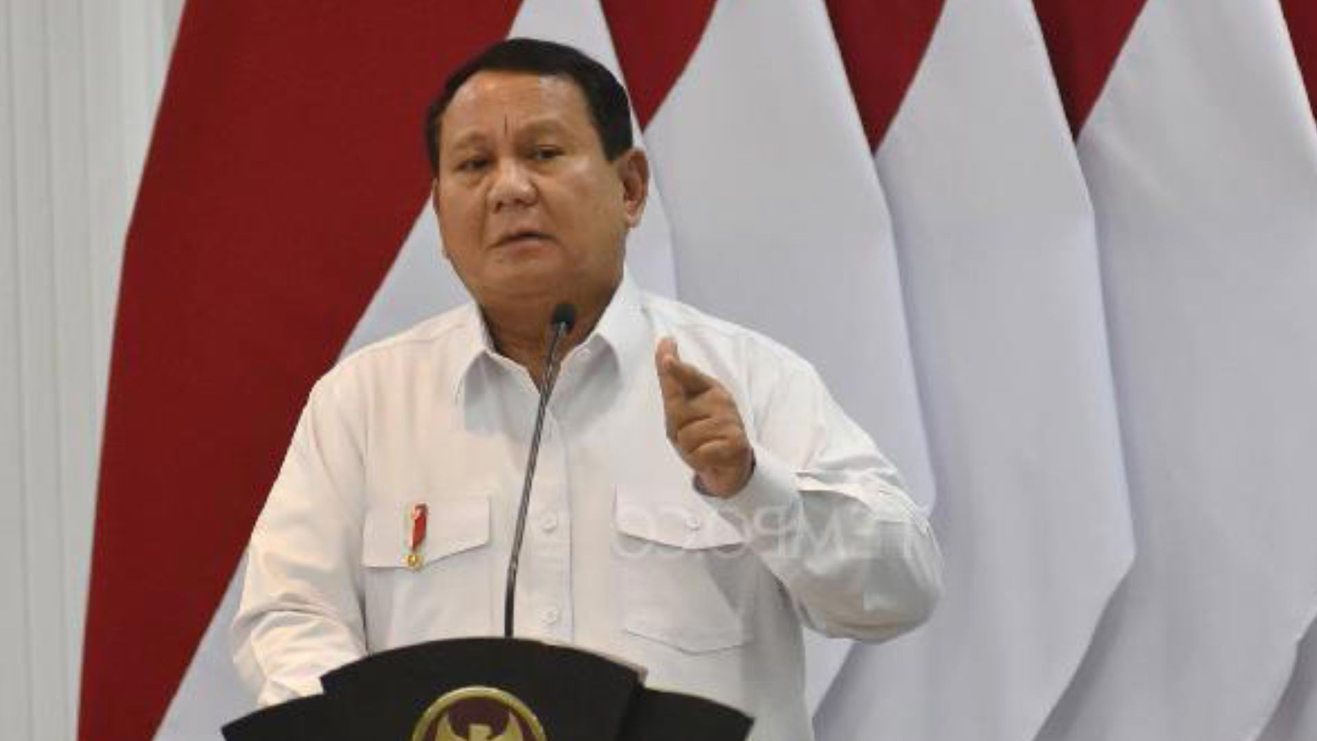 Muncul Perpres Penertiban Kawasan Hutan, Perkebunan Berulangkali Disebut dan Satgas Dibentuk