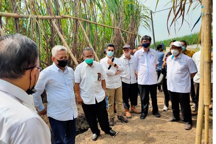 PTPN Group Targetkan Gula 1,8 Juta Ton
