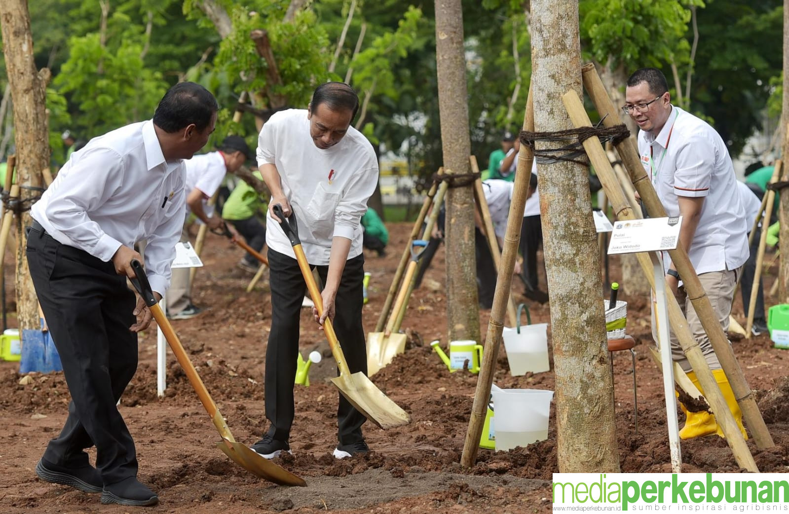 Mentan Amran Dampingi Presiden Gerakan Tanam Pohon Bersama Sebagai Menteri LHK Ad-Interim